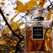 Chanel Coco Eau De Perfume Flacon, 100 ml