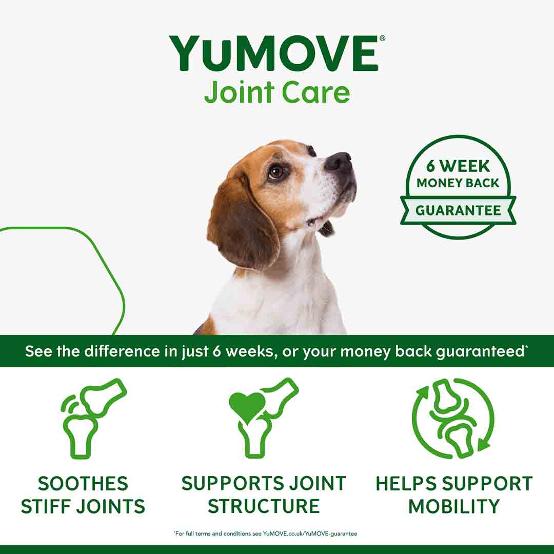 YuMOVE Joint Care for Adult Dogs | High Strength Hip & Joint Supplement – 120 Tablets