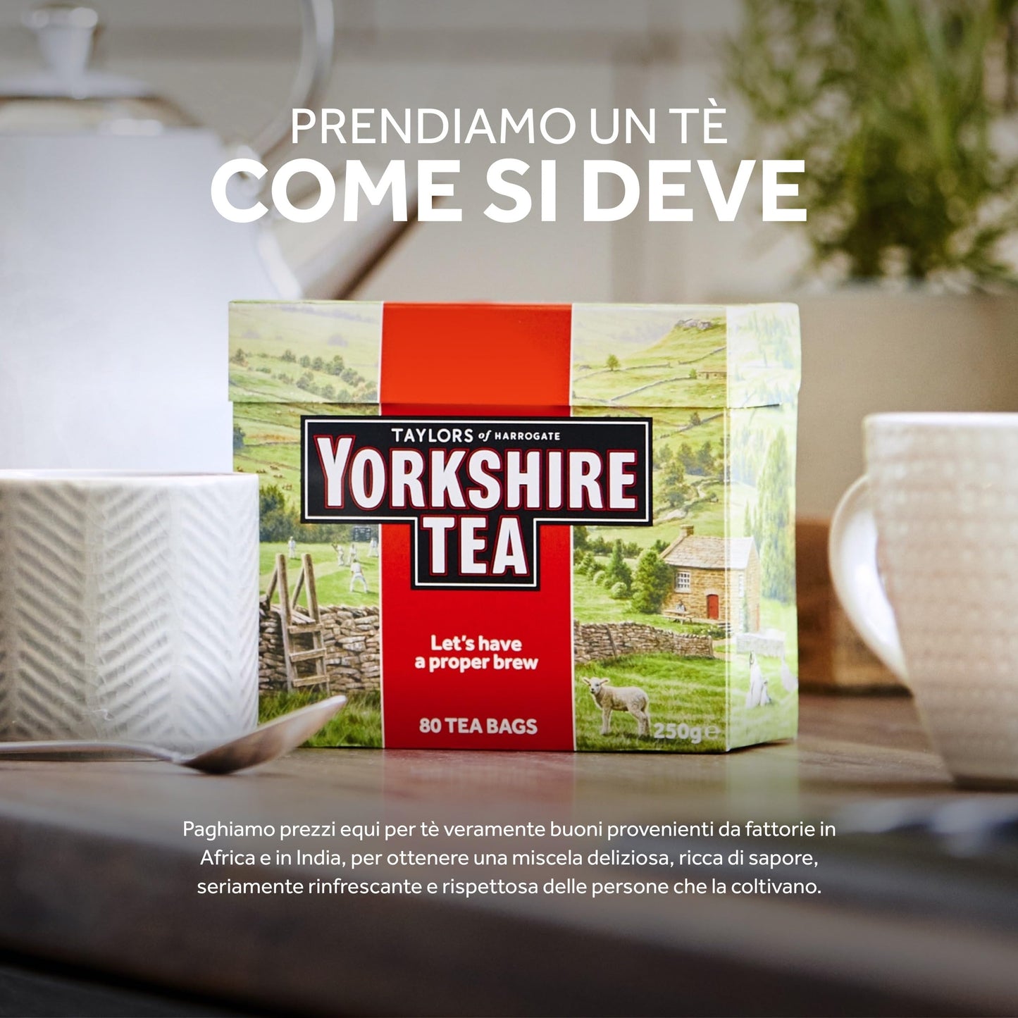 Yorkshire Tea by Taylors of Harrogate | Outstanding British Black Tea – 240 Tea Bags